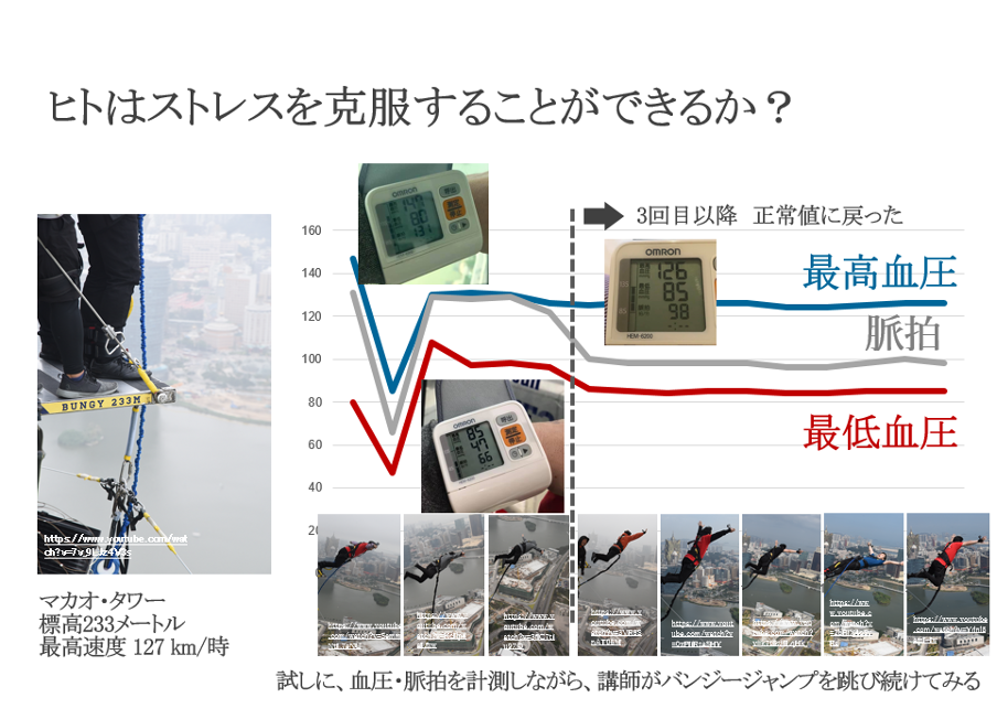 バンジージャンプをしている様子2